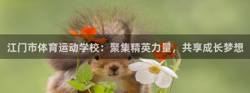 江门市体育运动学校：聚集精英力量，共享成长梦想