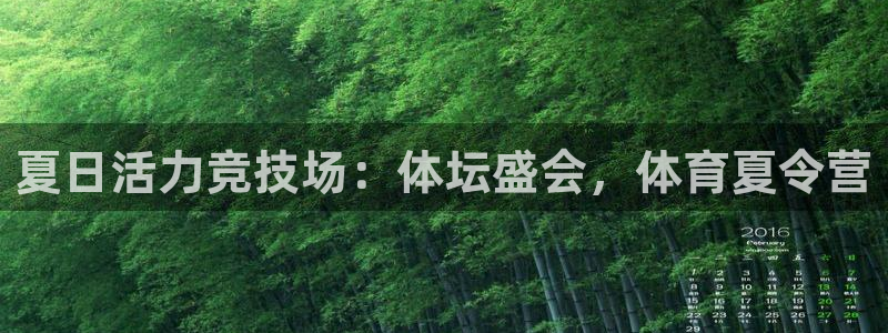 夏日活力竞技场：体坛盛会，体育夏令营