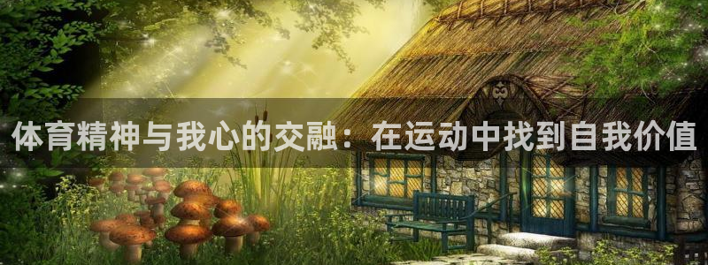体育精神与我心的交融：在运动中找到自我价值