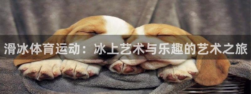 滑冰体育运动：冰上艺术与乐趣的艺术之旅