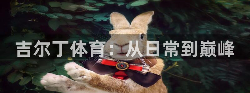 吉尔丁体育：从日常到巅峰