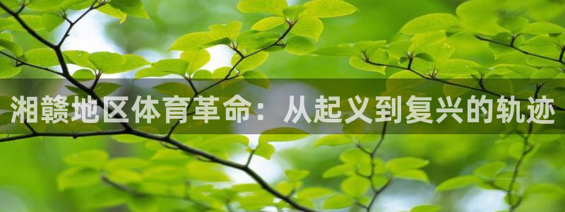 湘赣地区体育革命：从起义到复兴的轨迹