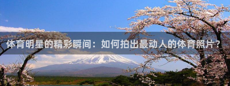 体育明星的精彩瞬间：如何拍出最动人的体育照片？