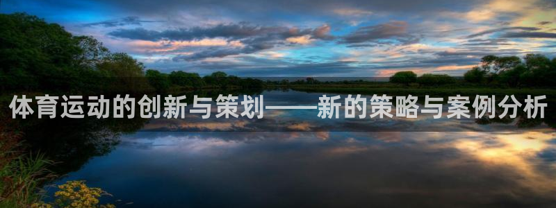 体育运动的创新与策划——新的策略与案例分析