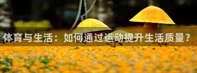 体育与生活：如何通过运动提升生活质量？