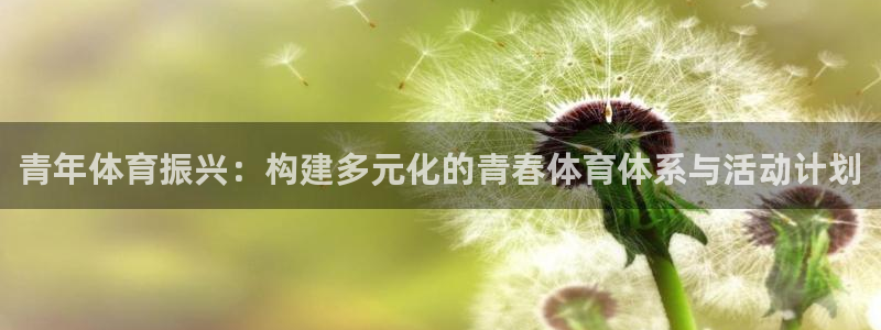 青年体育振兴：构建多元化的青春体育体系与活动计划