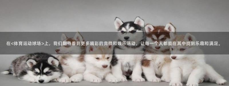 在<体育运动球场>上，我们期待看到更多精彩的竞技和娱乐活动，让每一个人都能在其中