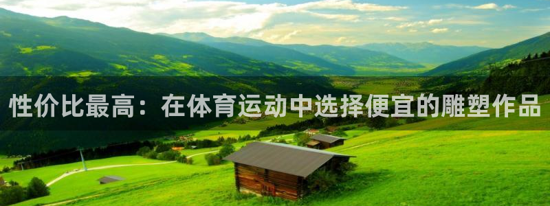 性价比最高：在体育运动中选择便宜的雕塑作品