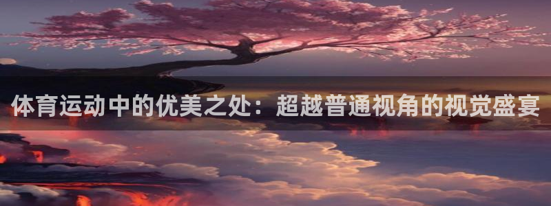 体育运动中的优美之处：超越普通视角的视觉盛宴