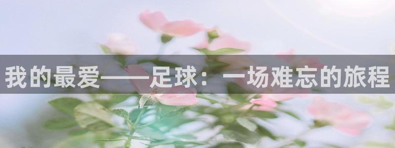 我的最爱——足球：一场难忘的旅程