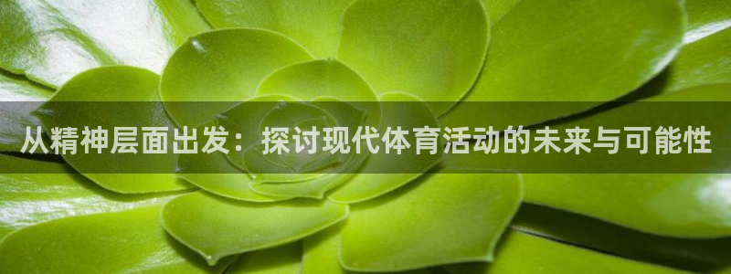 从精神层面出发：探讨现代体育活动的未来与可能性