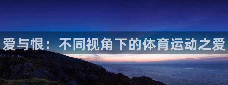 爱与恨：不同视角下的体育运动之爱