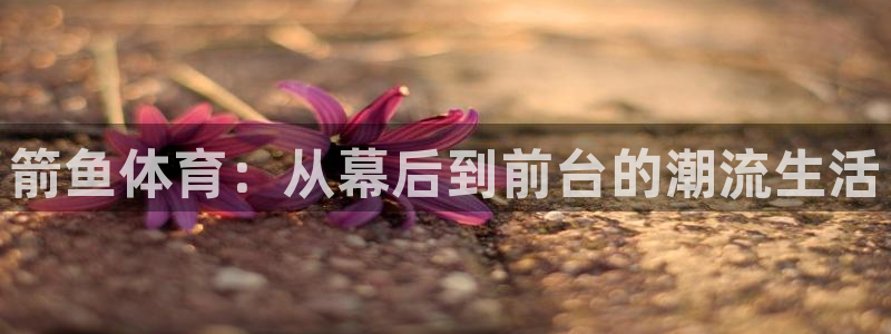 箭鱼体育：从幕后到前台的潮流生活