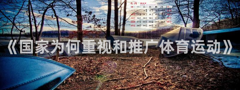 《国家为何重视和推广体育运动》